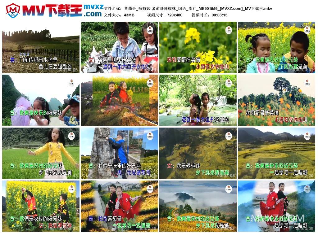 蕃茄哥_辣椒妹-蕃茄哥辣椒妹_国语_流行_ME901556